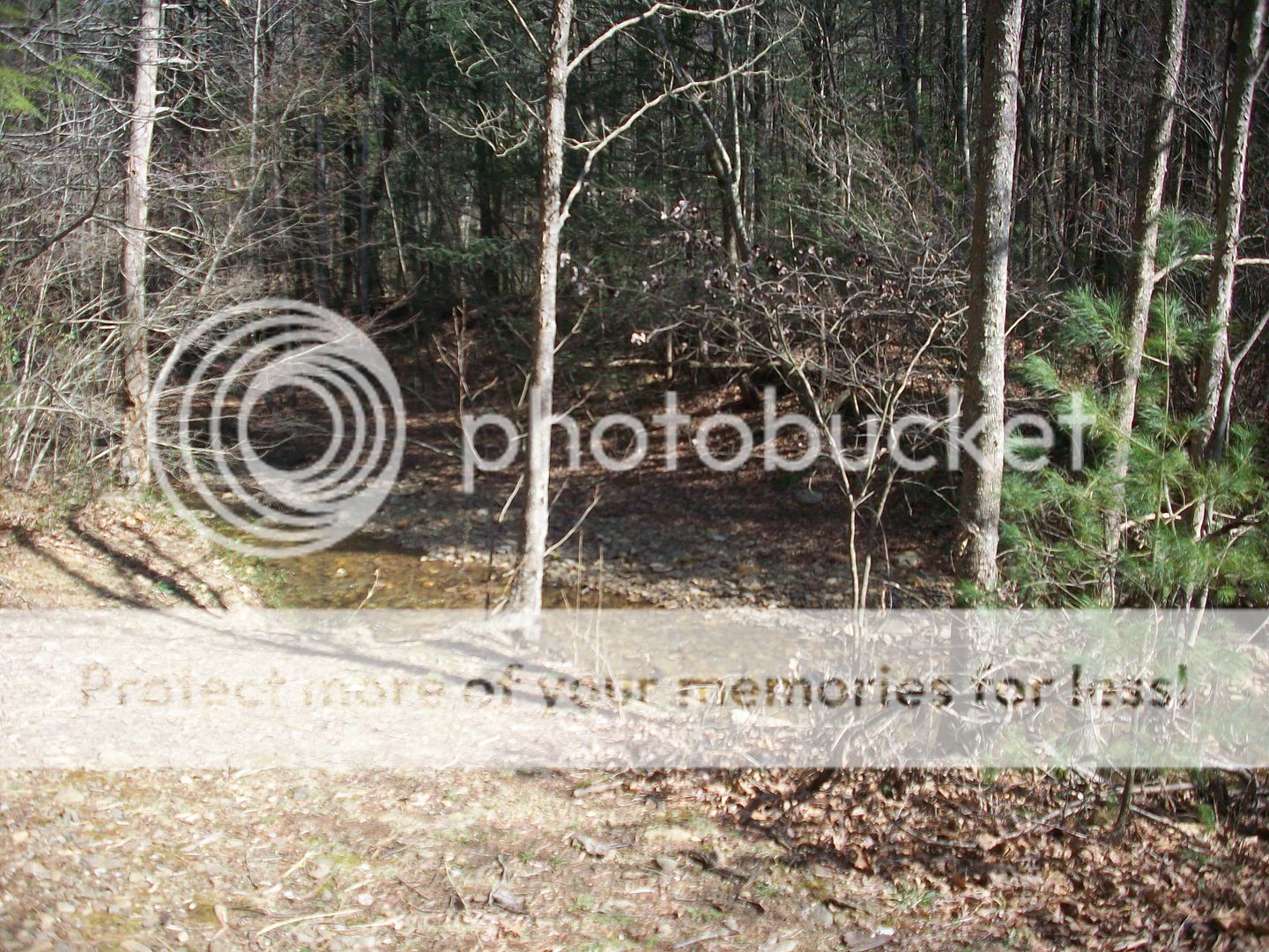 A ride on Fort Lewis Mountain